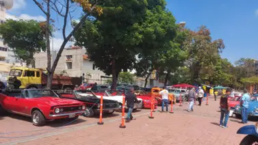 Club Le Pur Sang exhibió su colección de automóviles clásicos (+Fotos) Club Le Pur Sang exhibió su colección de automóviles clásicos (+Fotos)
