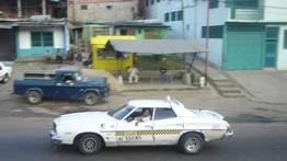 Los venezolanos andan entre "tigres y tigritos"