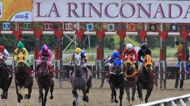 Este es el «platal» a repartir este domingo en La Rinconada