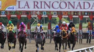 Este es el «platal» a repartir este domingo en La Rinconada