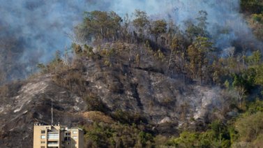 Adoptan medidas de protección para el Parque Nacional Waraira Repano