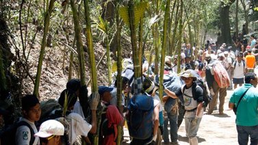Este sábado reciben a Palmeros de Chacao en la entrada de Sabas Nieves