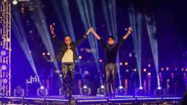 Enjambre de abejas retrasa concierto de Servando y Florentino en Valencia Enjambre de abejas retrasa concierto de Servando y Florentino en Valencia