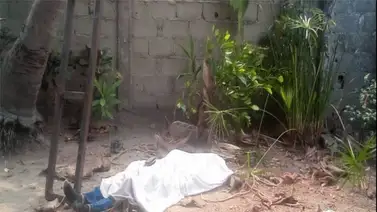 Muere un hombre tras caer de una mata de coco en Barinas Muere un hombre tras caer de una mata de coco en Barinas