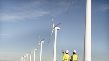 Demanda eléctrica nacional podría suplirse con energía solar, según experto