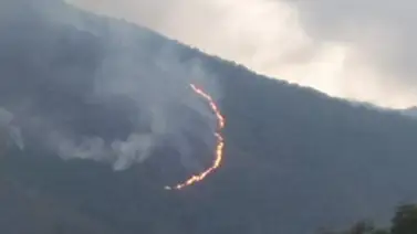 Controlado en un 100 % incendio forestal en El Ávila Controlado en un 100 % incendio forestal en El Ávila