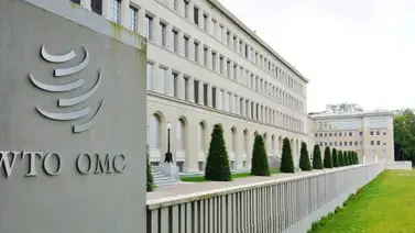 La OMC alerta sobre "el hambre que se avecina" La OMC alerta sobre "el hambre que se avecina"