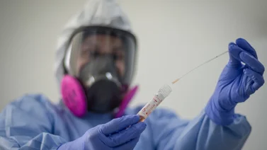 Brasil deja de exigir prueba de PCR-RT a sus visitantes