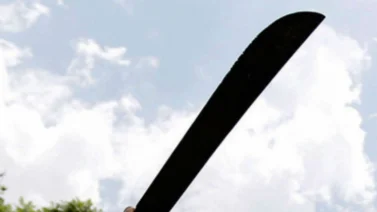 Mató a su hermano a machetazos tras una discusión por alimentos