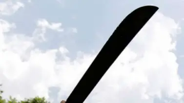 Mató a su hermano a machetazos tras una discusión por alimentos Mató a su hermano a machetazos tras una discusión por alimentos