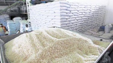 Venezuela busca sustituir importaciones de arroz por producción nacional