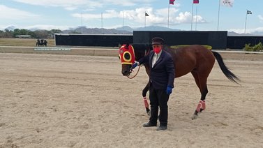 Mr. Coco buscará su cuarta victoria al hilo en el óvalo valenciano