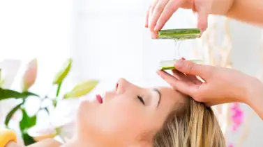 Productos naturales para la salud y la cosmética Productos naturales para la salud y la cosmética