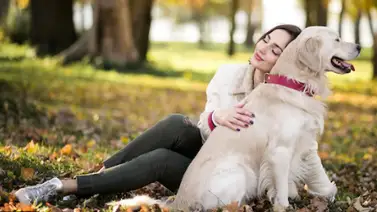 Tiempo y dedicación: aspectos indispensables para las mascotas Tiempo y dedicación: aspectos indispensables para las mascotas