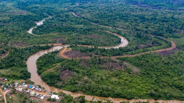 Muere otra madre venezolana tras intentar cruzar la Selva del Darién