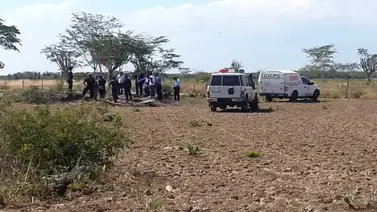 Zulia: Asesinan a cuatro trabajadores de la Finca San Tomé Zulia: Asesinan a cuatro trabajadores de la Finca San Tomé
