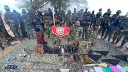 Desarticulan grupos terroristas "Tancol" en Apure
