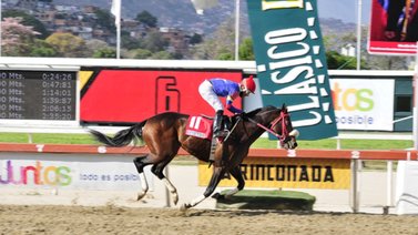 Apistos buscará conquistar de nuevo el Clásico "José María Vargas"