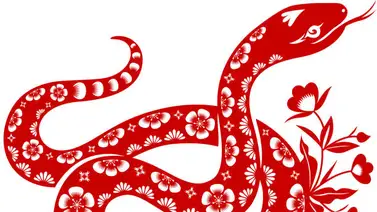 La Serpiente y su influencia en el horóscopo chino La Serpiente y su influencia en el horóscopo chino