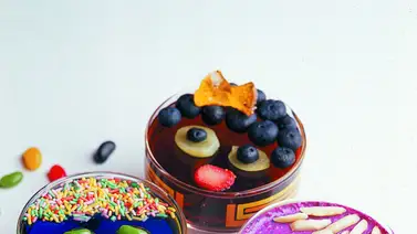 La gelatina: capas de sabor y color La gelatina: capas de sabor y color