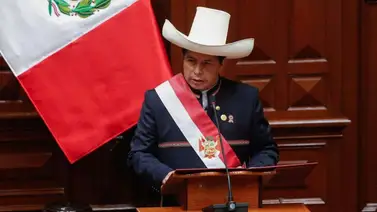 Pedro Castillo: Delincuentes extranjeros tienen 72 horas para salir del país Pedro Castillo: Delincuentes extranjeros tienen 72 horas para salir del país