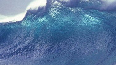 Venezuela participará en simulacro de terremoto y tsunami Caribe Wave 2022