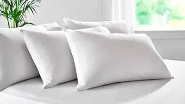 Cada cuánto se deben cambiar y lavar las almohadas Cada cuánto se deben cambiar y lavar las almohadas