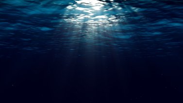 El océano indaga nuevo tratado de protección en alta mar