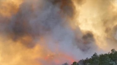 Incendio forestal en Florida obliga a evacuar más de mil viviendas