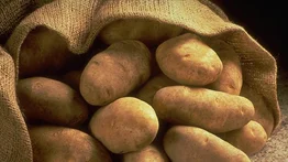 Venezolano intenta meter papas rellenas de droga a una estación de Policía en Colombia