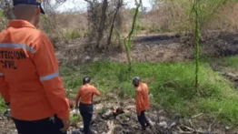 Hallan cadáver de recién nacido dentro de un bolso tricolor