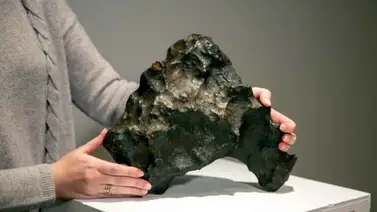 Roca procedente de Marte se queda sin vender en subasta Roca procedente de Marte se queda sin vender en subasta