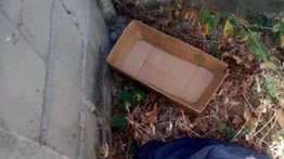 Abandonaron a bebé recién nacida en el patio de una vivienda en Apure