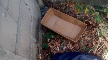 Abandonaron a bebé recién nacida en el patio de una vivienda en Apure