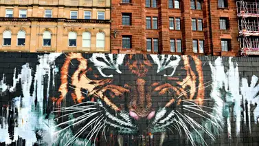 El arte plasmado en los grafitis de Glasgow, Escocia El arte plasmado en los grafitis de Glasgow, Escocia