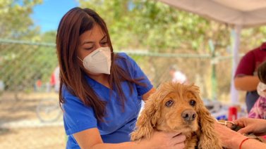 Realizan jornada de vacunación a mascotas en Baruta