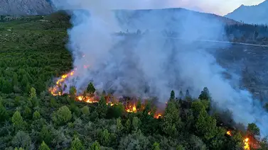 Argentina: incendio amenaza a refugio de vida silvestre Argentina: incendio amenaza a refugio de vida silvestre