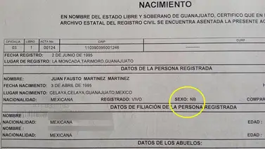 México entrega primera acta de nacimiento a persona de género no binario México entrega primera acta de nacimiento a persona de género no binario