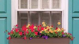 Cómo tener una jardinera de ventana