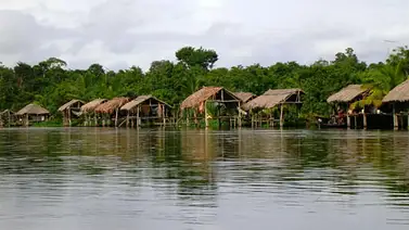 Activista denuncia hallazgo de 8 cuerpos de indígenas en Orinoco Activista denuncia hallazgo de 8 cuerpos de indígenas en Orinoco