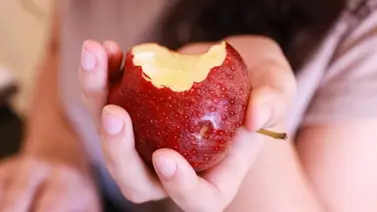 Sugerencias que puedes seguir en casa Sugerencias que puedes seguir en casa