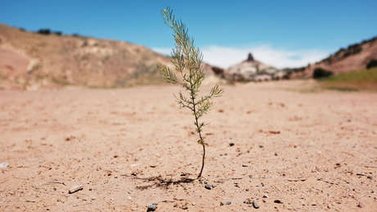 El oeste de EEUU asolado por la peor sequía en 1.200 años, según un informe