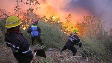 Incendios forestales afectan al Parque Nacional Henri Pittier