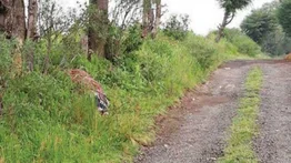 Matan a un joven y luego ataron su cadáver a un caballo