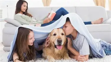 ¿Cómo elegir la compañía perfecta para tu hijo? ¿Cómo elegir la compañía perfecta para tu hijo?