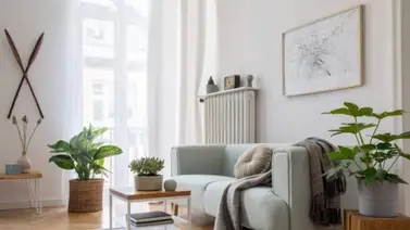 Revitalizar y llenar de energía tu hogar con plantas Revitalizar y llenar de energía tu hogar con plantas