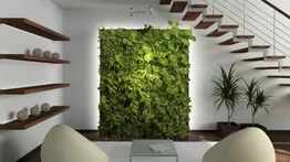 Jardines verticales: alternativas para los espacios