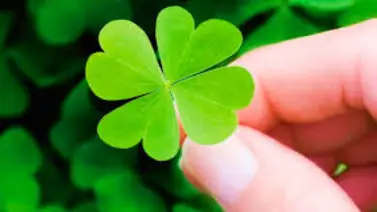 Rituales para atraer la buena suerte Rituales para atraer la buena suerte