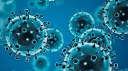 Marruecos cerró 159 colegios por la ola de Ómicron