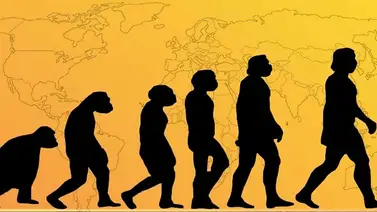 Crean una aplicación para reconstruir el pasado evolutivo de los humanos Crean una aplicación para reconstruir el pasado evolutivo de los humanos